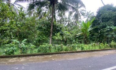 Di jual tanah kebun produktif