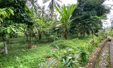 Di jual tanah kebun produktif