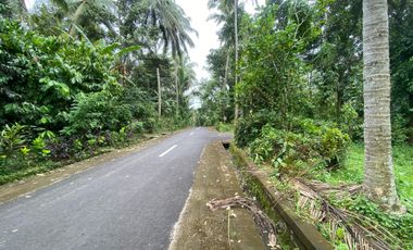 Di jual tanah kebun produktif