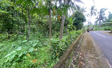 Di jual tanah kebun produktif