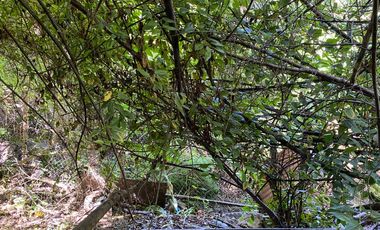 SE VENDE PROPIEDAD EN SAN ANTONIO