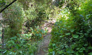 SE VENDE PROPIEDAD EN SAN ANTONIO