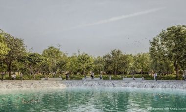 ¡Oportunidad de Inversión en Zona Cercana al Tren Maya!