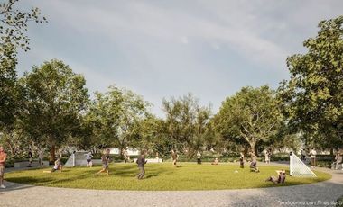 ¡Oportunidad de Inversión en Zona Cercana al Tren Maya!