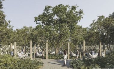 ¡Oportunidad de Inversión en Zona Cercana al Tren Maya!