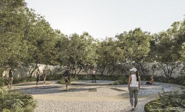 ¡Oportunidad de Inversión en Zona Cercana al Tren Maya!