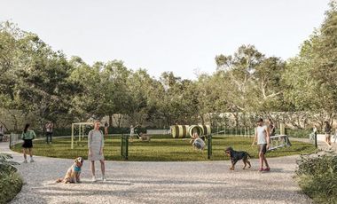 ¡Oportunidad de Inversión en Zona Cercana al Tren Maya!