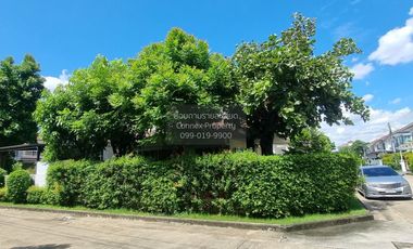 FOR SELL House LIFE BANGKOK BOULEVARD PINKLAO  – PETCHKASEM  CX-130589