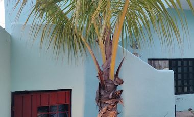 Hermosa casa en Chabihau Yucatán  a 20 mts de la playa – $2,500,000 MXN