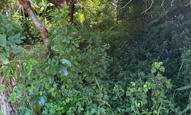 Terreno en venta.