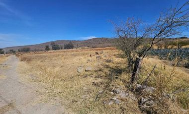 Terreno en venta en el chirimoyo