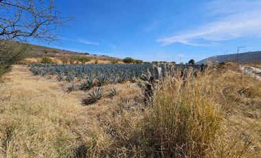 Terreno en venta en el chirimoyo