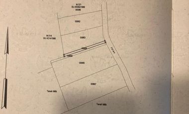 Dijual lahan pertanian produktif yg berlokasi didesa batunya baturiti