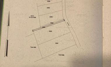 Dijual lahan pertanian produktif yg berlokasi didesa batunya baturiti