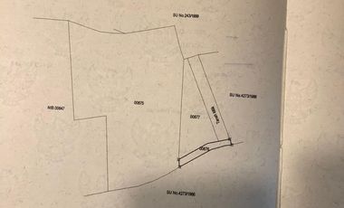 Dijual lahan pertanian produktif yg berlokasi didesa batunya baturiti