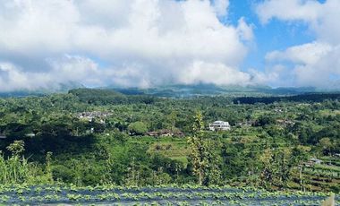 Dijual lahan pertanian produktif yg berlokasi didesa batunya baturiti