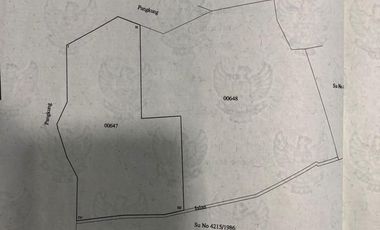 Dijual lahan pertanian produktif yg berlokasi didesa batunya baturiti