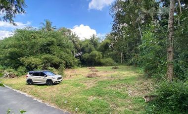 Untungnya Punya Tanah di Jogja, Pasti Layak Huni dan Investasi