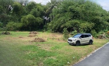 Untungnya Punya Tanah di Jogja, Pasti Layak Huni dan Investasi