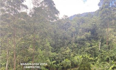 Venta apartamento Medellín poblado tesoro vista alto luxury rebajado panorámica campestre lujo espacios grandes unidad completa valorizacion