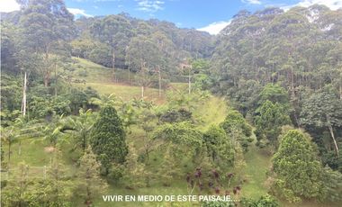 Venta apartamento Medellín poblado tesoro vista alto luxury rebajado panorámica campestre lujo espacios grandes unidad completa valorizacion