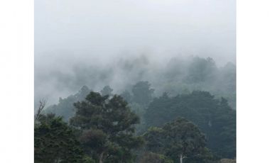 Venta lote parcelación Medellín poblado palmas exclusivo lujo luxury