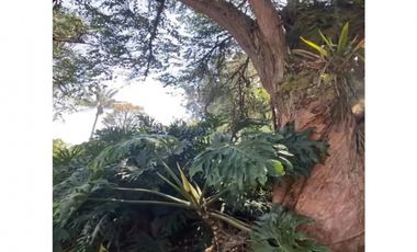 Venta lote parcelación Medellín poblado palmas exclusivo lujo luxury