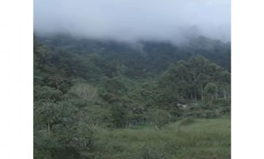 Venta lote parcelación Medellín poblado palmas exclusivo lujo luxury