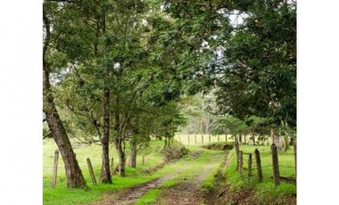 Venta lote parcelación Medellín poblado palmas exclusivo lujo luxury