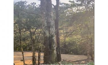 Venta lote parcelación Medellín poblado palmas exclusivo lujo luxury