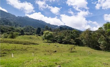 Venta lote parcelación Medellín poblado palmas exclusivo lujo luxury