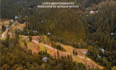 Venta lote parcelación Antioquia retiro fizebad represa bosque