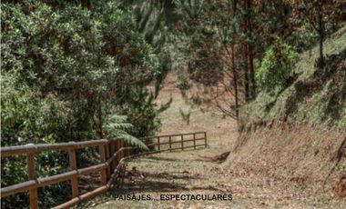 Venta lote parcelación Antioquia retiro fizebad represa bosque