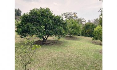 venta lote antioquia guarne autopista aeropuerto parcelación rebajado