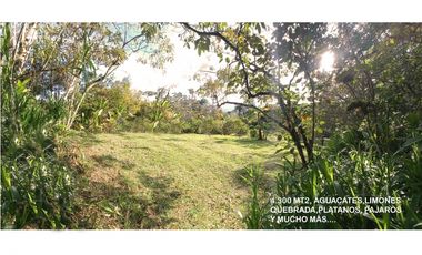 venta lote antioquia guarne autopista aeropuerto parcelación rebajado