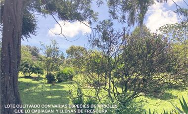 venta lote antioquia guarne autopista aeropuerto parcelación rebajado