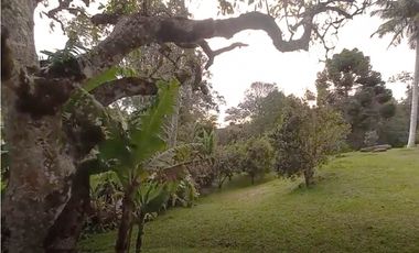 venta lote antioquia guarne autopista aeropuerto parcelación rebajado