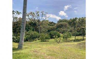 venta lote antioquia guarne autopista aeropuerto parcelación rebajado