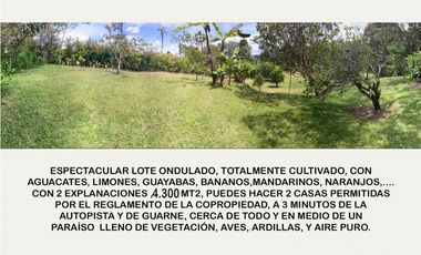 venta lote antioquia guarne autopista aeropuerto parcelación rebajado