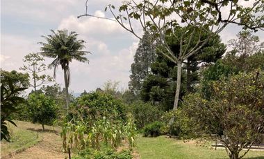 venta lote antioquia guarne autopista aeropuerto parcelación rebajado