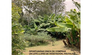 venta lote antioquia guarne autopista aeropuerto parcelación rebajado