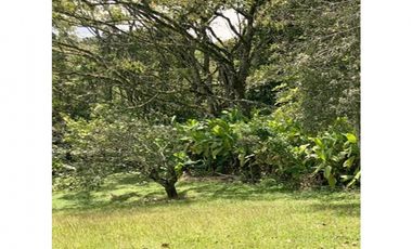 venta lote antioquia guarne autopista aeropuerto parcelación rebajado