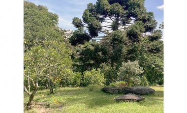 venta lote antioquia guarne autopista aeropuerto parcelación rebajado