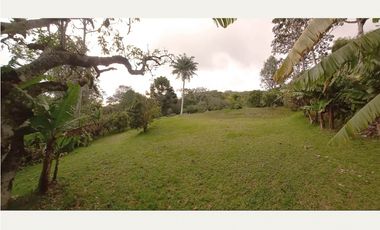 venta lote antioquia guarne autopista aeropuerto parcelación rebajado