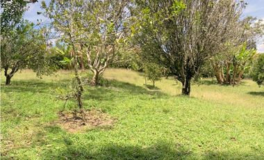 venta lote antioquia guarne autopista aeropuerto parcelación rebajado