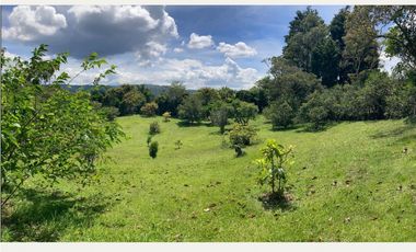 venta lote antioquia guarne autopista aeropuerto parcelación rebajado