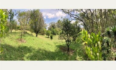 venta lote antioquia guarne autopista aeropuerto parcelación rebajado