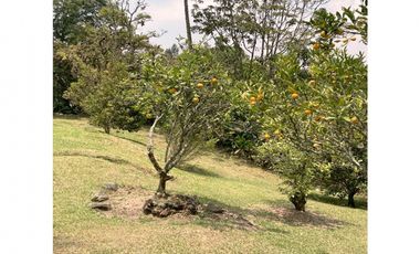 venta lote antioquia guarne autopista aeropuerto parcelación rebajado