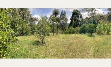 venta lote antioquia guarne autopista aeropuerto parcelación rebajado