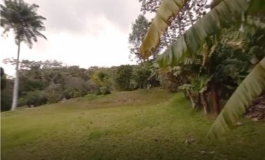 venta lote antioquia guarne autopista aeropuerto parcelación rebajado